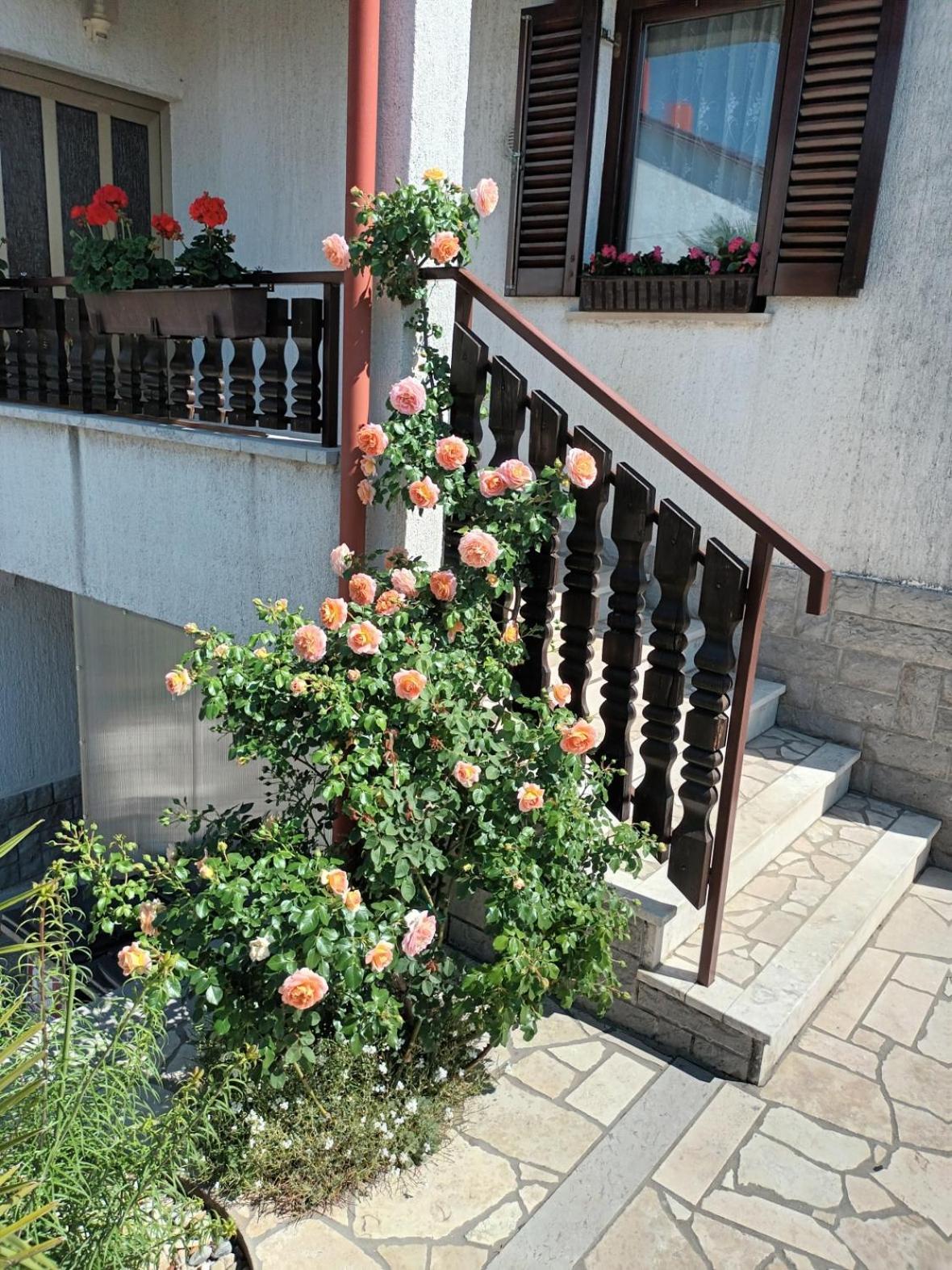 Apartments Peric Опатия Екстериор снимка
